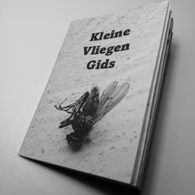 Klein Vliegen Gids