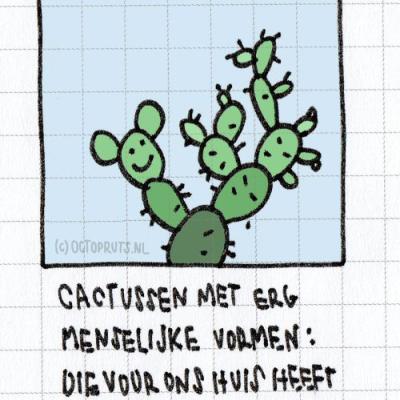 Cactus